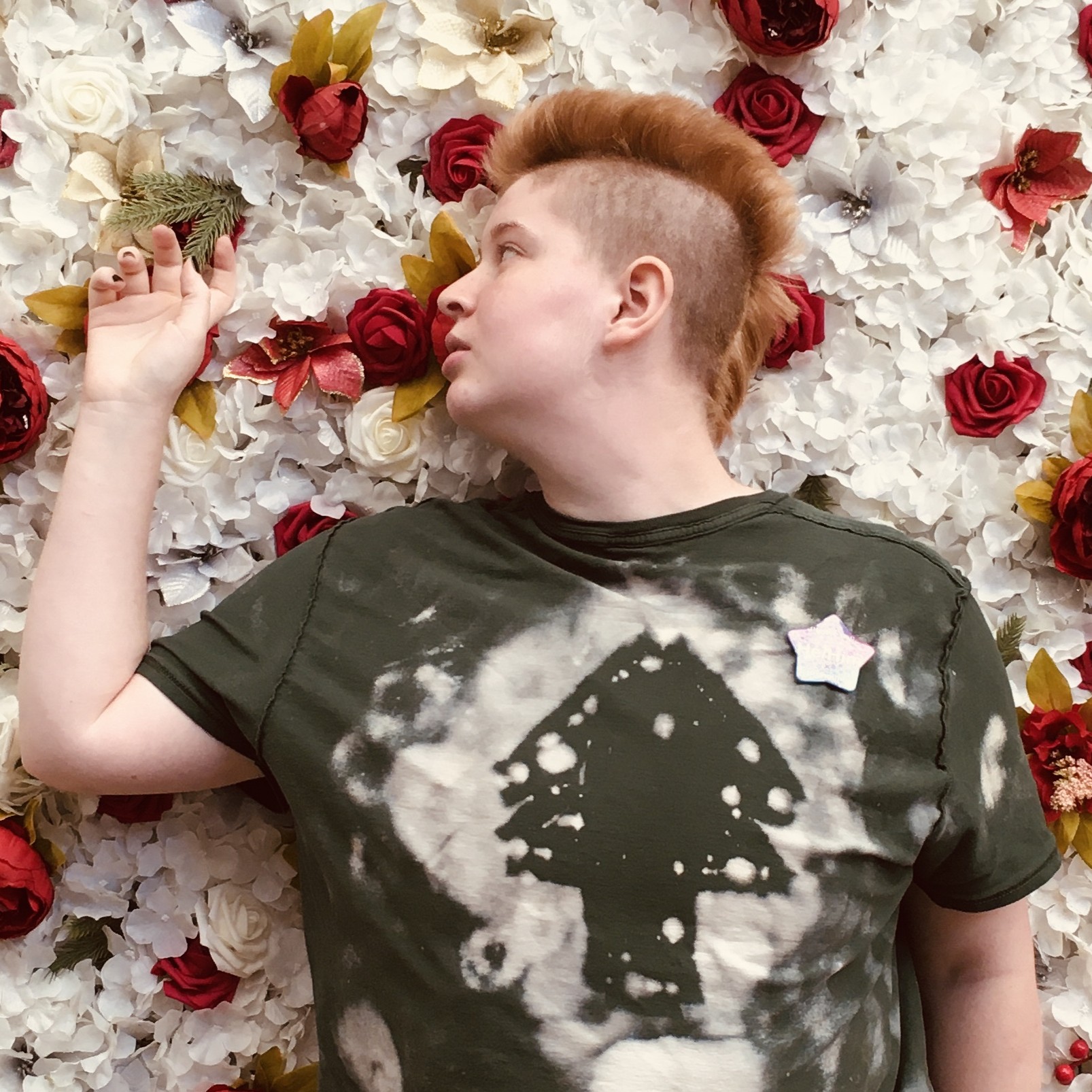 Aaryn Roses Background